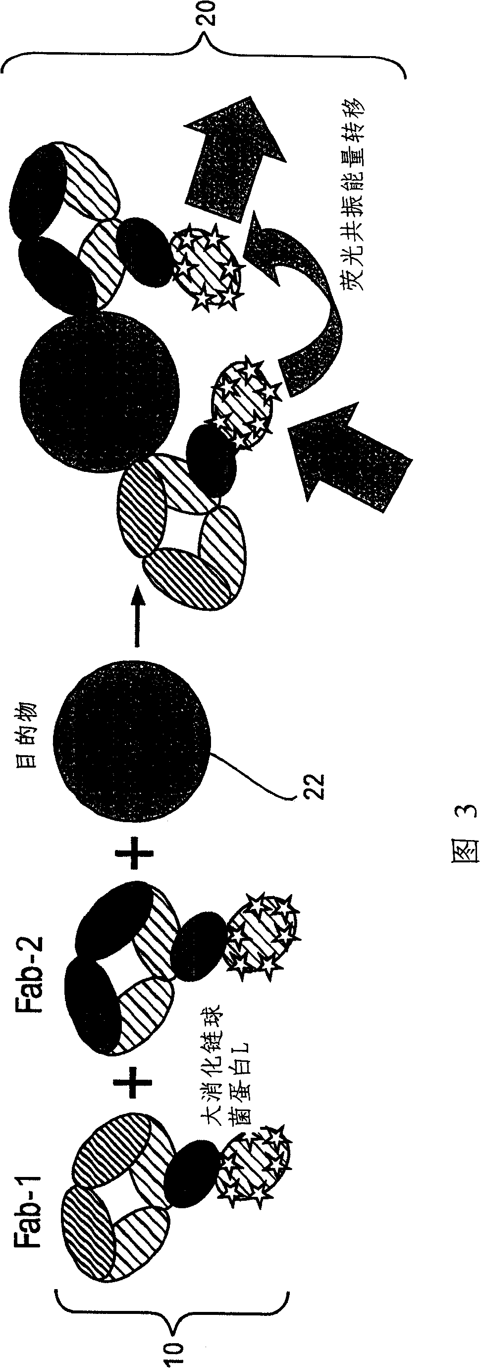 Cooperative reporter systems, components, and methods for analyte detection