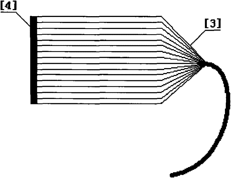 Digital ray imaging voltage sensor