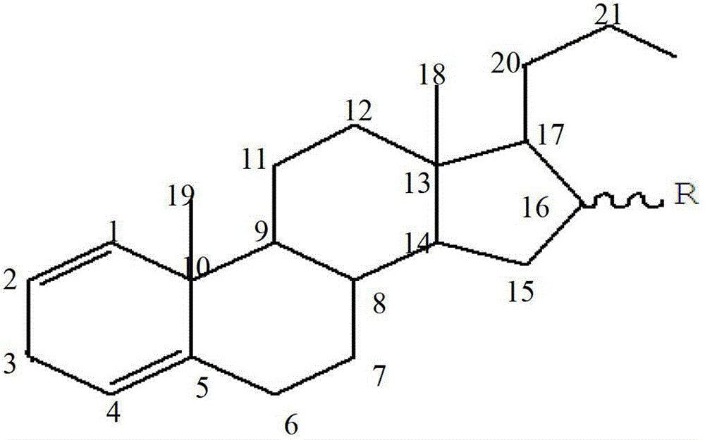 11-alpha hydroxylation reaction preparation method of steride hormone substance important intermediate