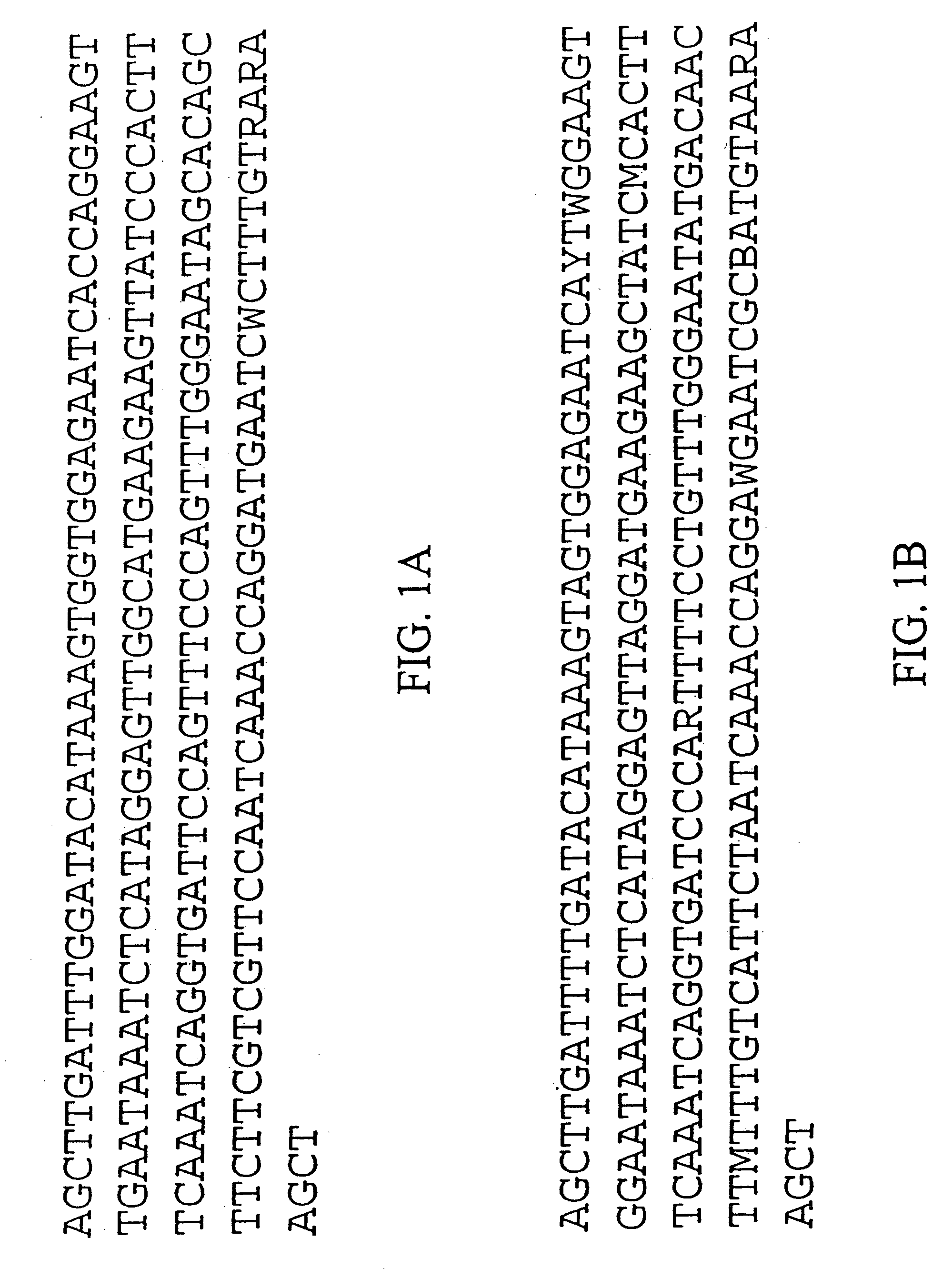 Plant centromere compositions