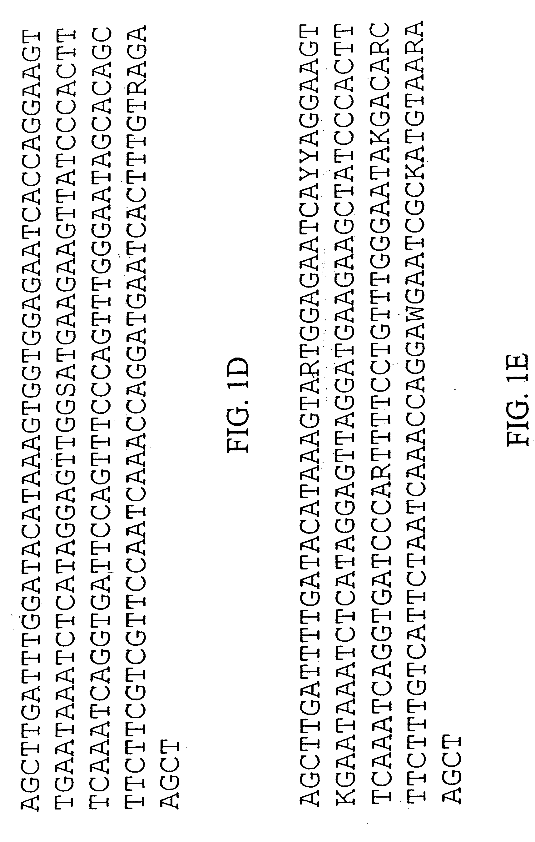 Plant centromere compositions