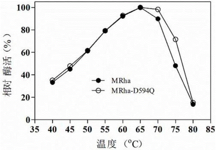 Mutant of alpha-L-rhamnosidase from aspergillus terreus CCF 3059 and application thereof