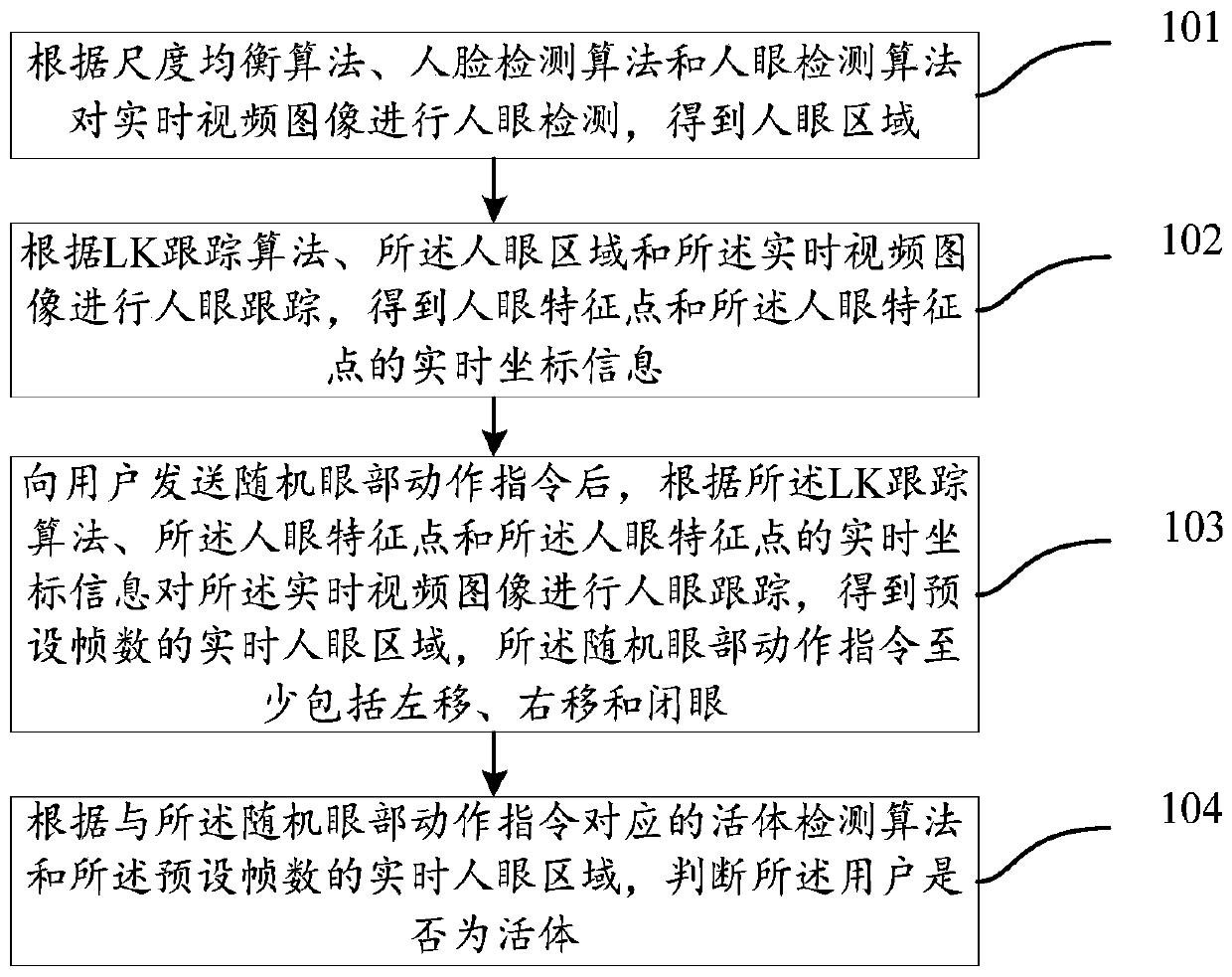 Liveness detection method and device based on activity state of human eye area