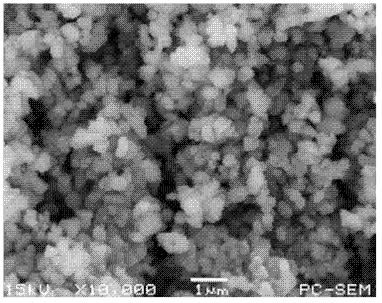 Lithium ion battery anode material LiCoPO4/Al2O3 and preparation method thereof