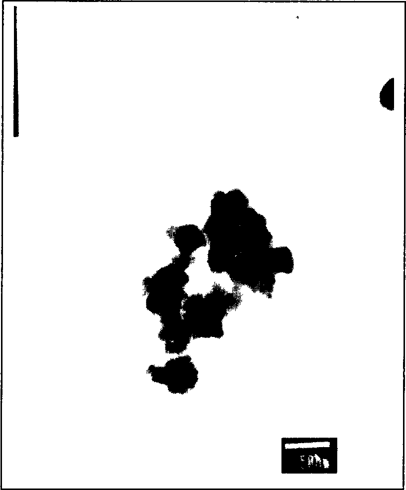 Method for preparing red nano fluoresent powder of rare earth