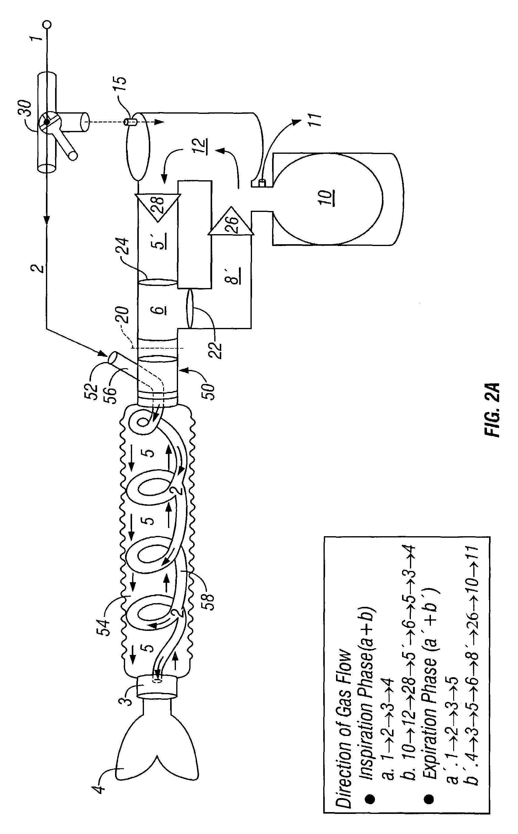 Breathing systems with post-inspiratory valve fresh gas flow input, components for implementing same, and methods of use