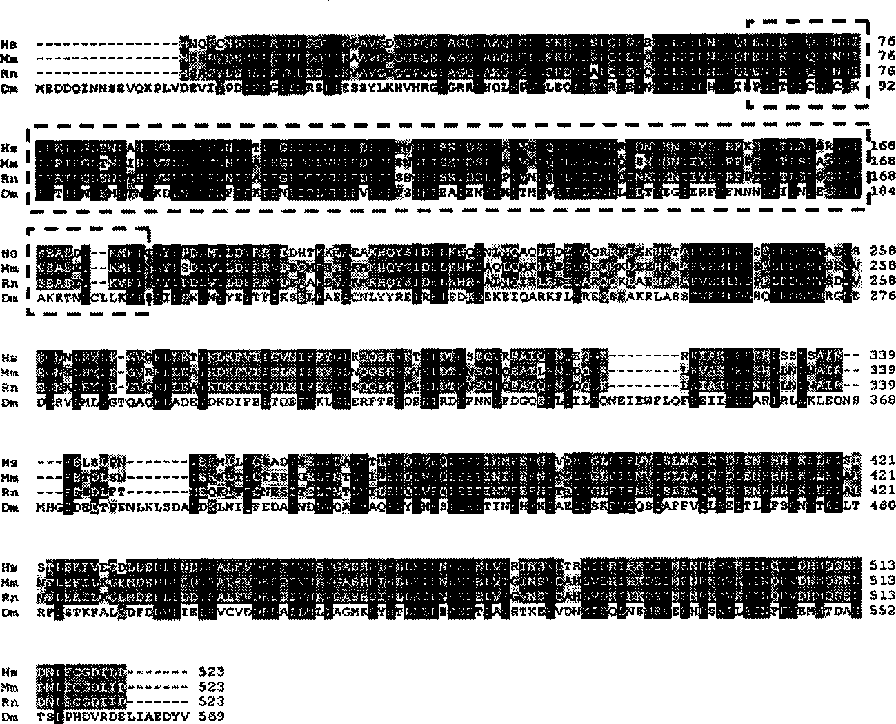 Use of CENP-E binding protein and its coding gene in preparing medicine for suppressing tumor proliferation