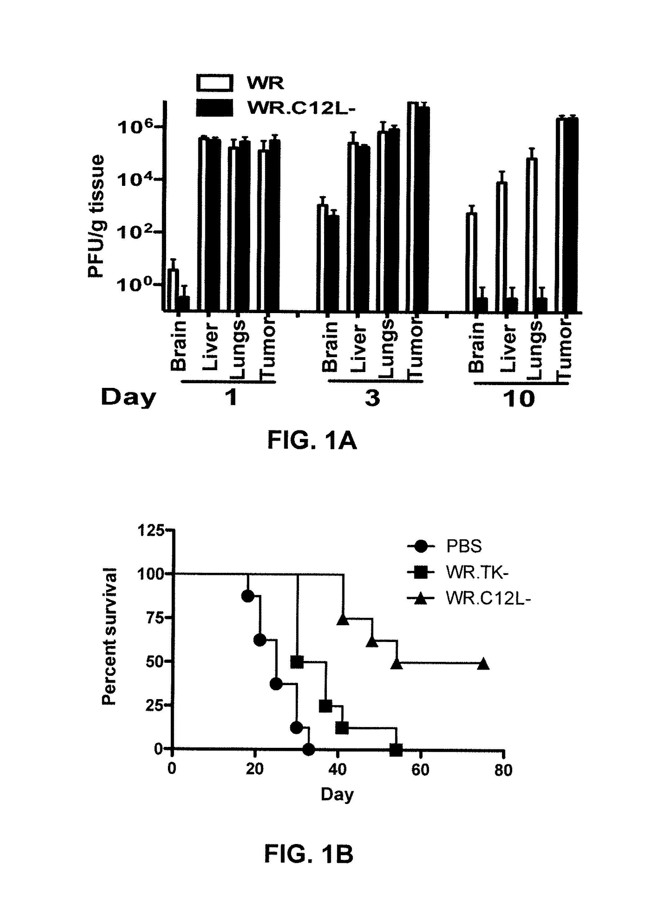 Immuno-Oncolytic Therapies