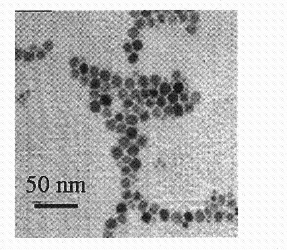 Liposome calcium sulphate composite nano artificial bone, preparation method and use thereof