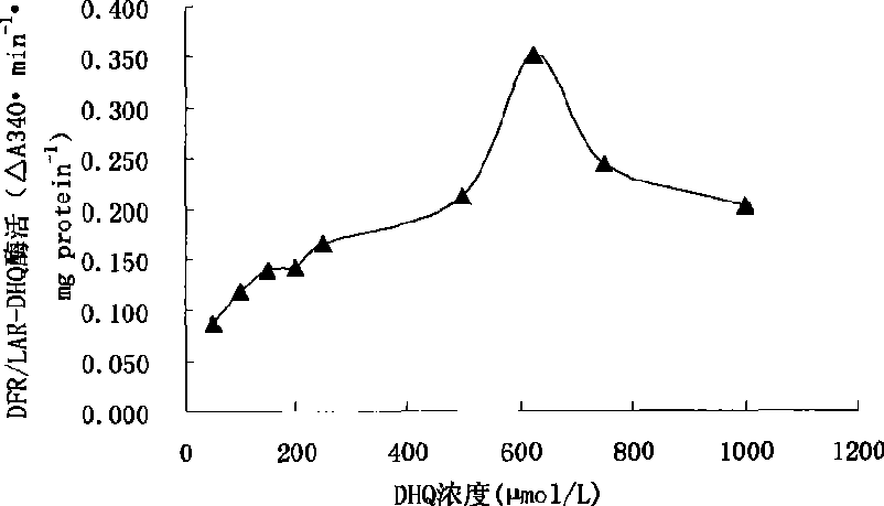 Fast detection method for dihydro flavanol 4-reductase/leucocyanidin reductase in tree plant