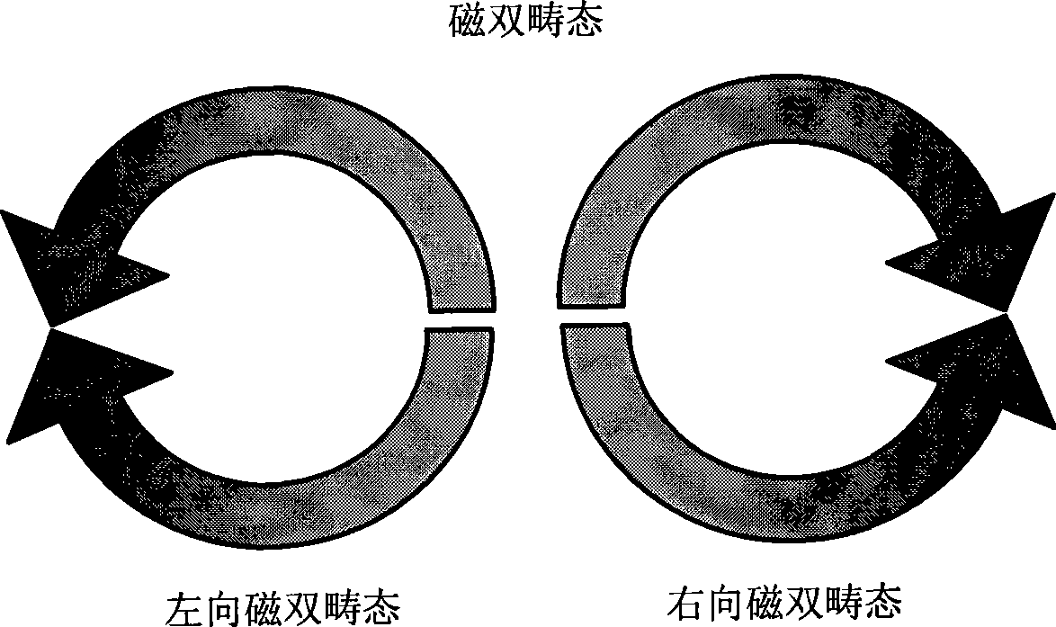 Magnetic field sensor utilizing ferromagnetic nanometer ring strong magnetic resistance effect