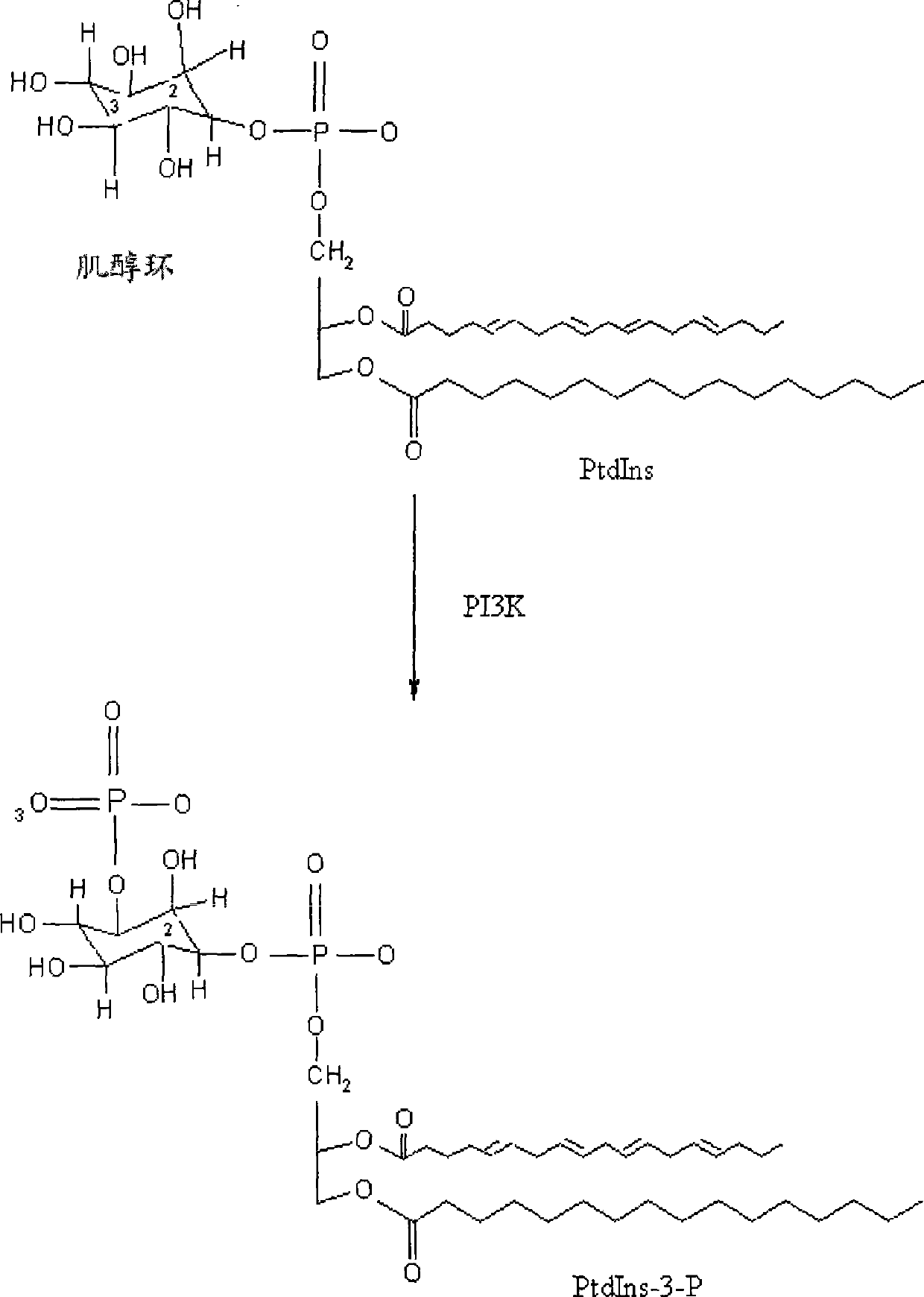 Thiazolidinedione derivatives as PI3 kinase inhibitors