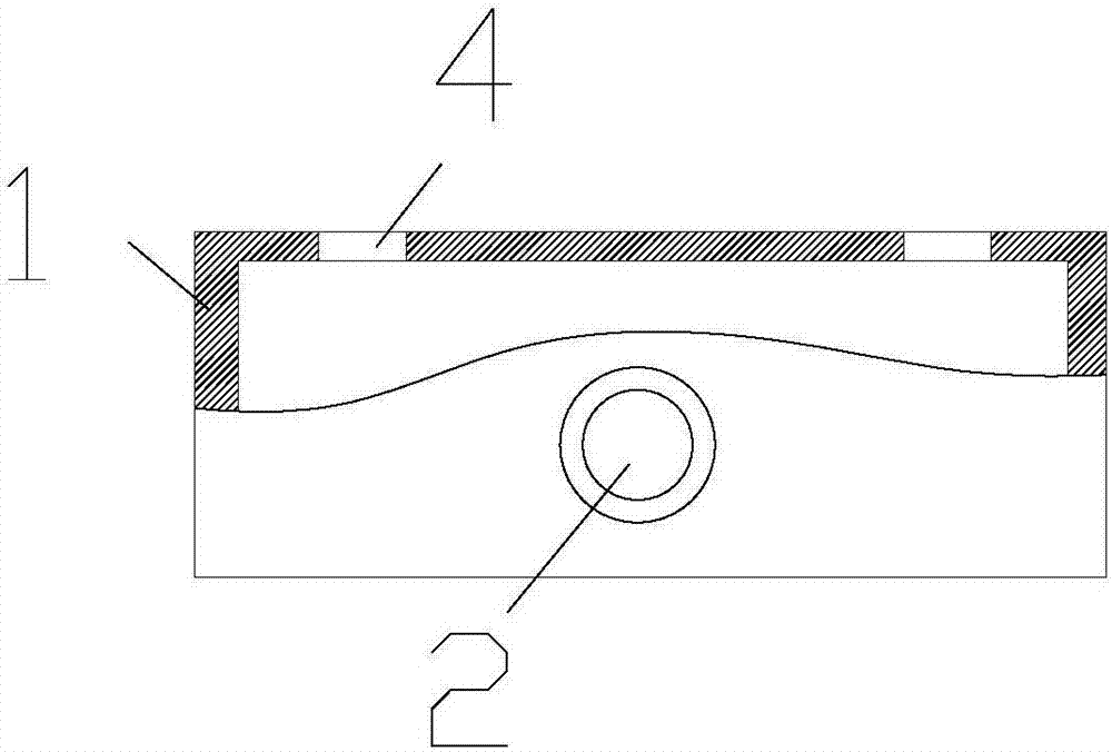 Combustion control system of a biomass combustion furnace