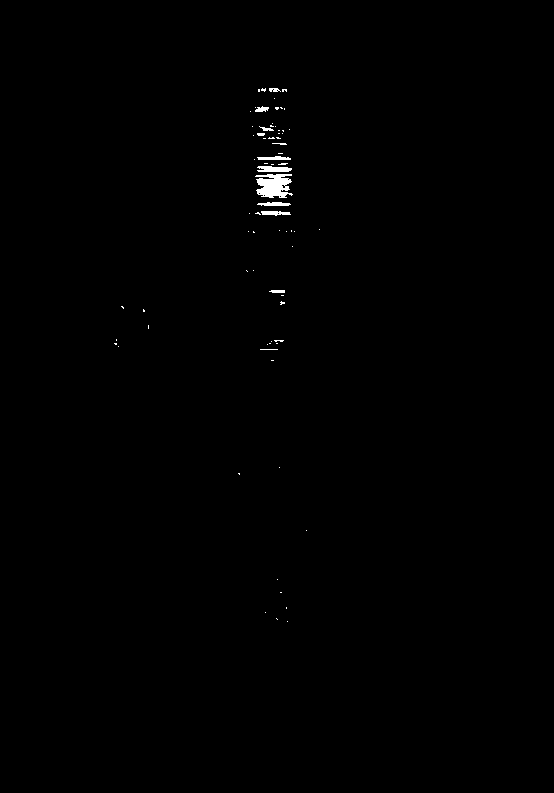 Method for growth of oversized crystal with the photo-magnetic function of rare earth orthoferrite