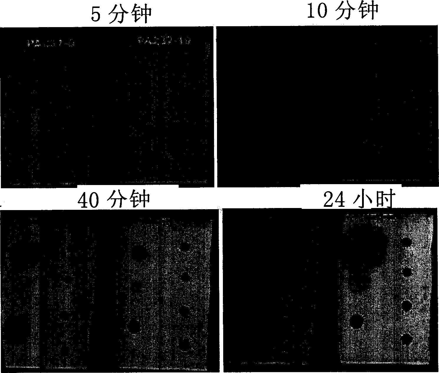 Fluo-copolymer/polyacrylate blending emulsion and its production and use