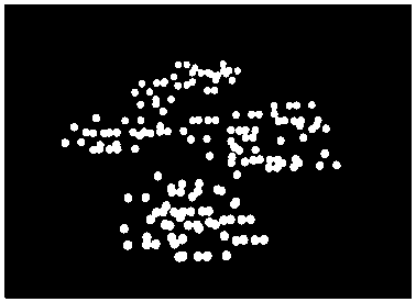 Crowd evacuation simulation method and system based on cat swarm algorithm, medium and equipment