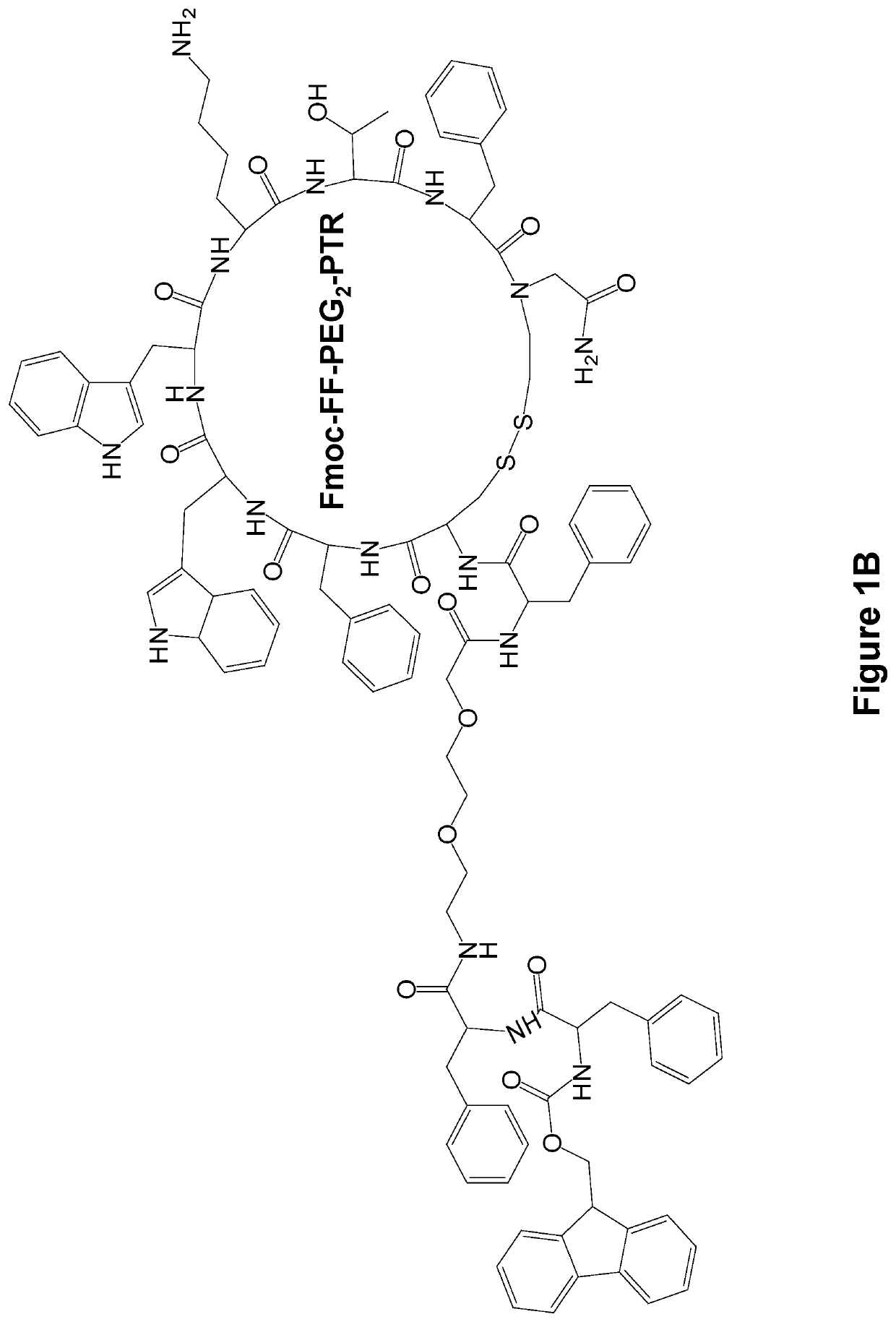 Formation of functionalized cancer targeting nanoparticles by supramolecular co-assembly