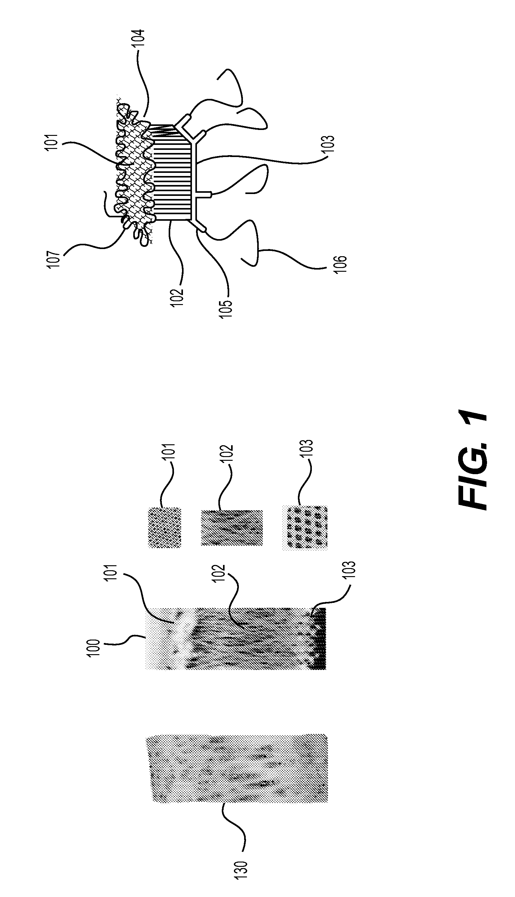 Implantable devices for musculoskeletal repair and regeneration