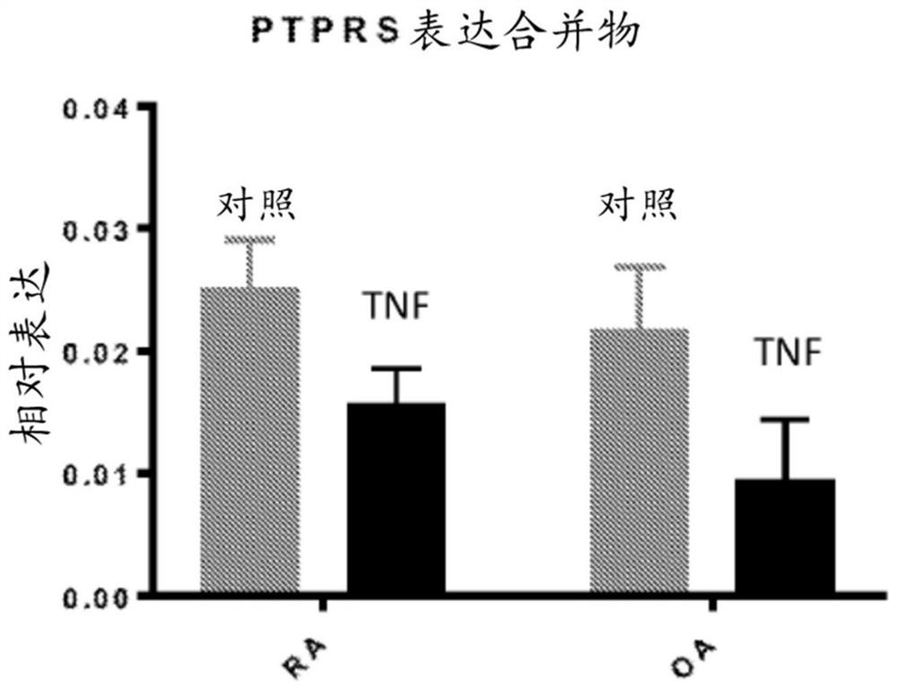 Ptprs and proteoglycans in rheumatoid arthritis