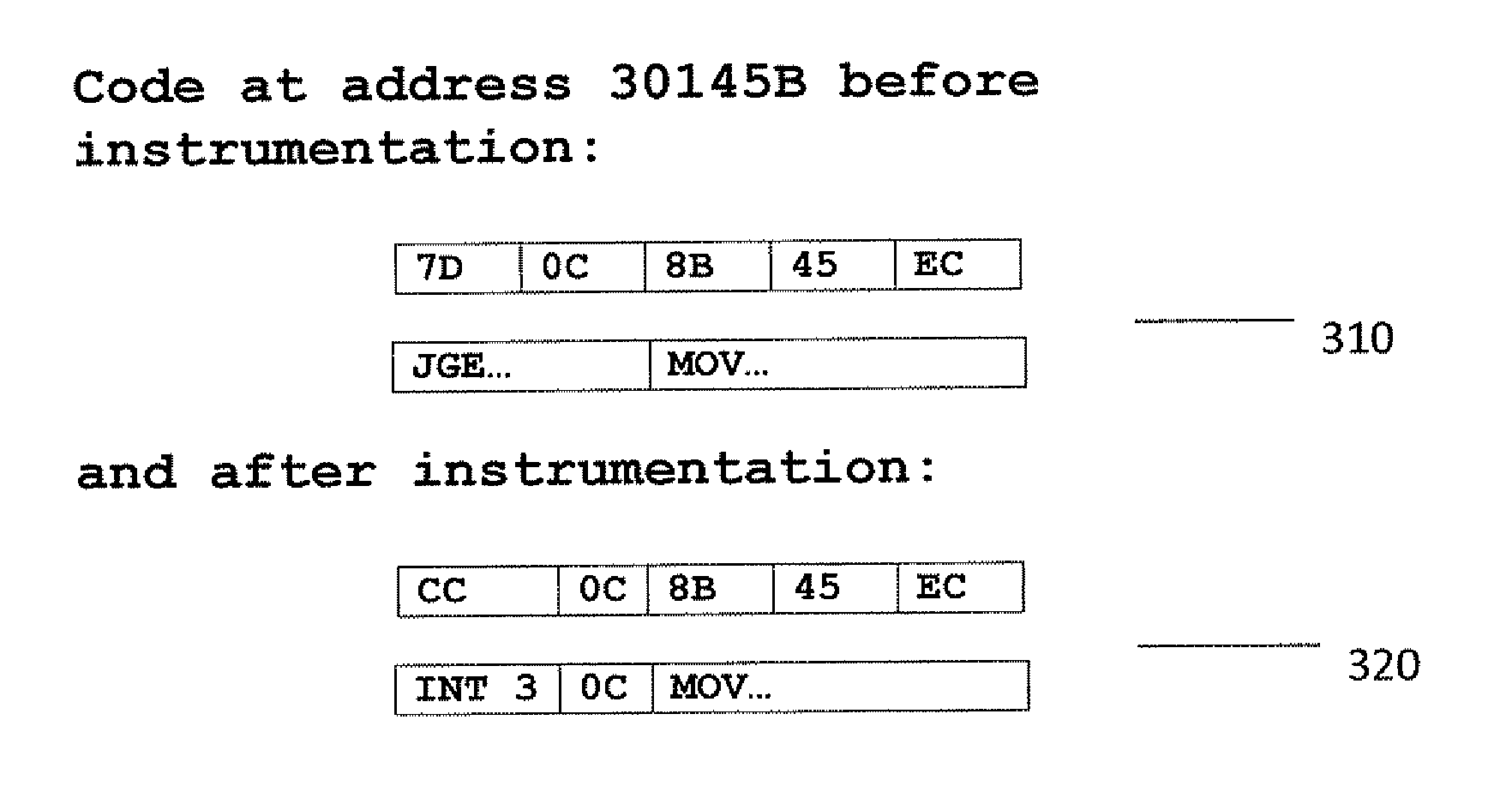 Efficient recording and replaying of the execution path of a computer program