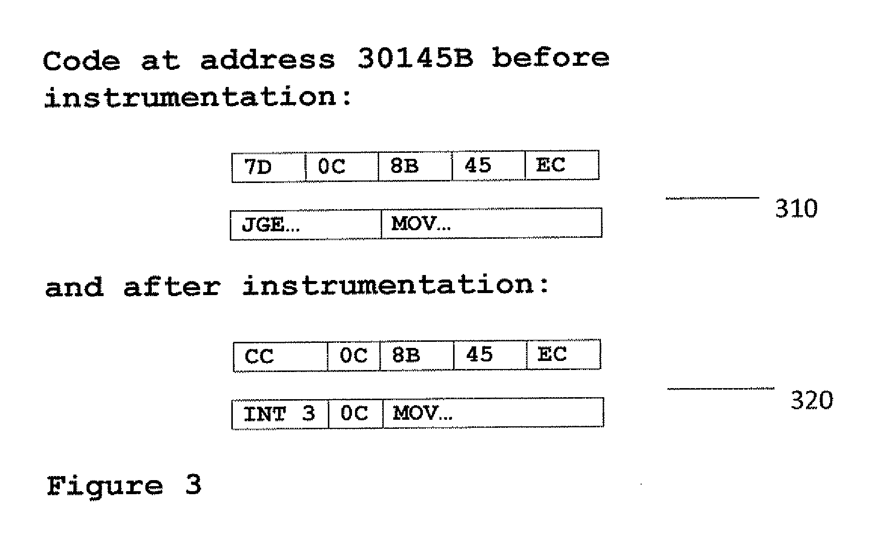 Efficient recording and replaying of the execution path of a computer program