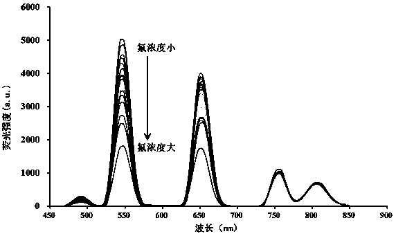 Fluorescence detection method for risky material fluorine in tea leaves