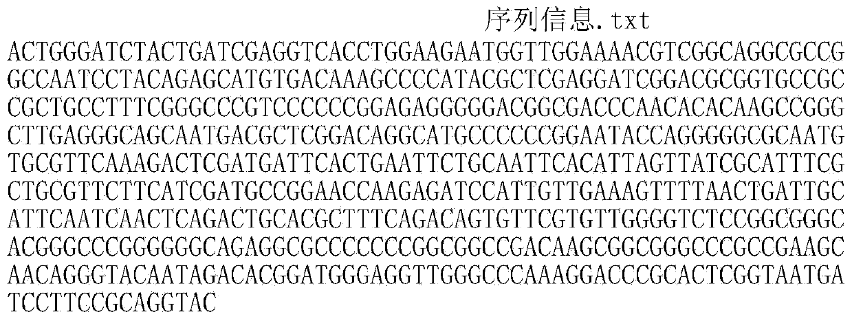 Aspergillus niger NY-1 as well as improvement technique for improving insecticidal activity of aspergillus niger NY-1 and application of aspergillus niger NY-1