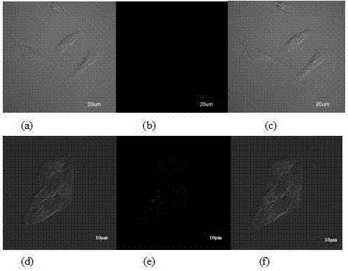 Application of high selectivity reaction type fluorescence probe for detecting hydrogen sulfide