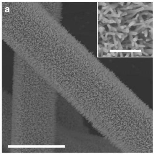 Cobaltous oxide slice, preparation method thereof and application of cobaltous oxide slice in visible-light photocatalysis total-decomposition of water