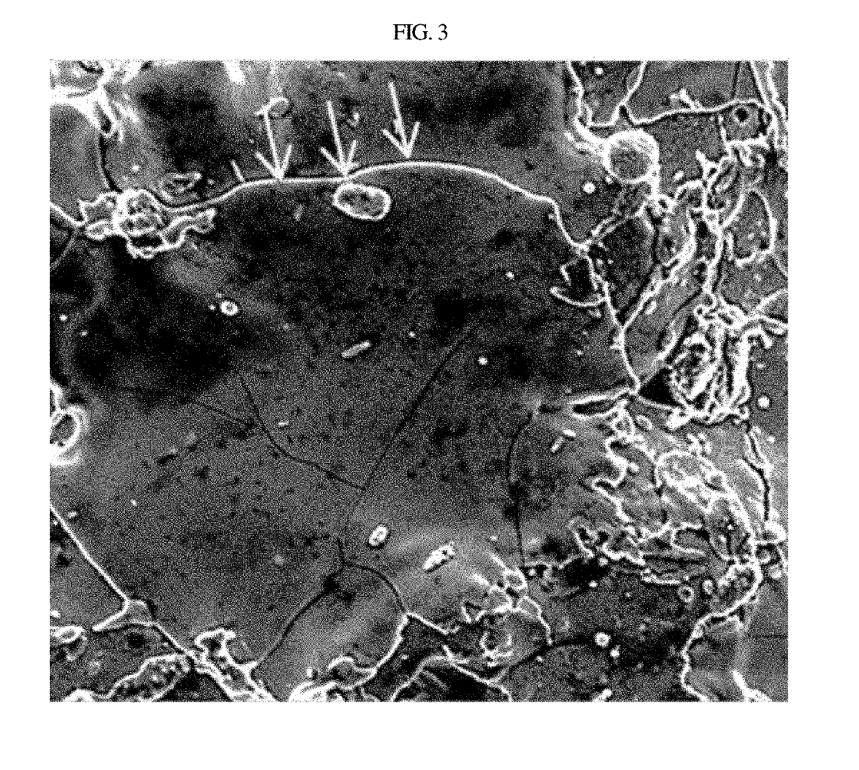 Friction part having wear resistant coating and coating method therefor