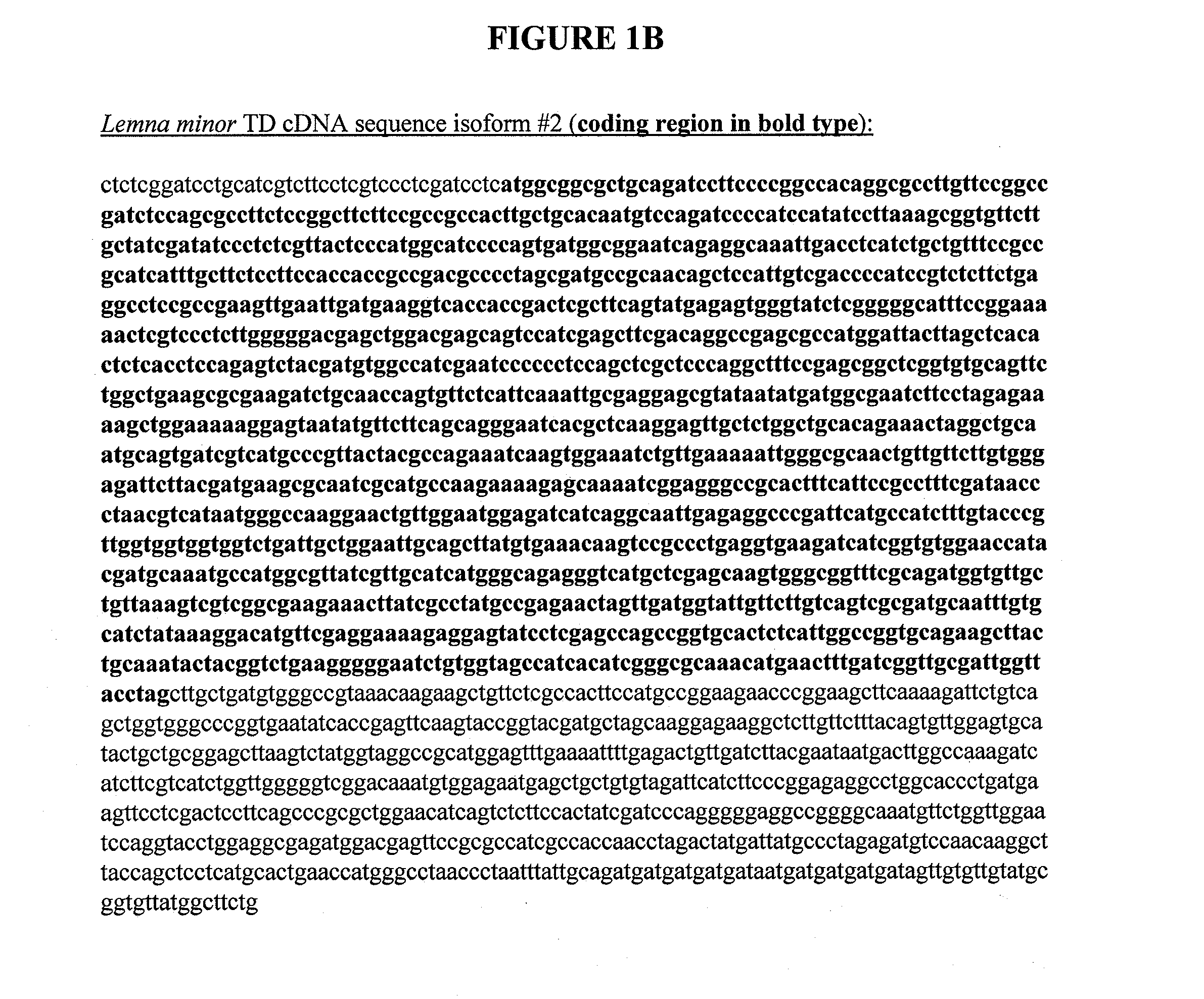 Compositions and Methods for Making and Biocontaining Auxotrophic Transgenic Plants