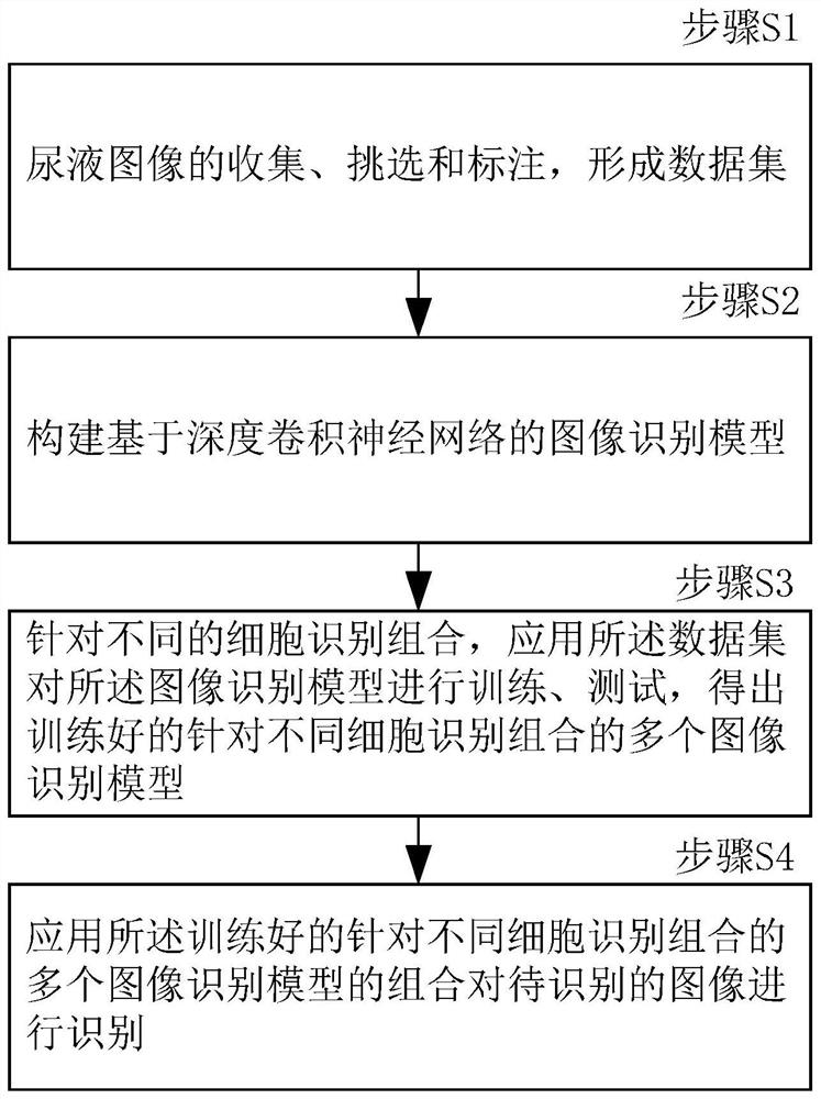 Urine cell identification method and system based on multiple models