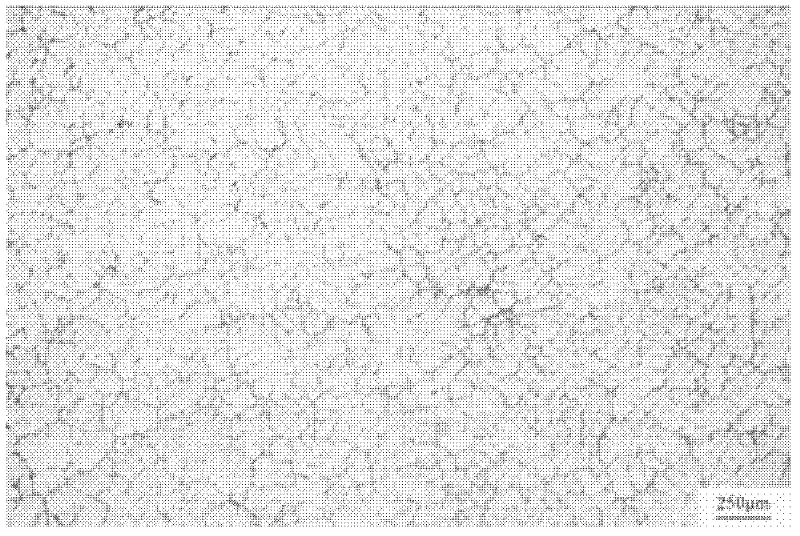 Magnesium alloy of high intensity and high yield ratio and preparation method thereof