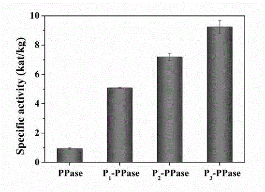 Novel temperature-response inorganic pyrophosphatase conjugate synthesis and application of conjugate to enhanced polymerase chain reaction