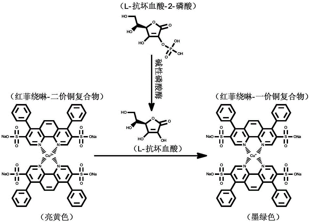 Method for measuring alkaline phosphatase activity