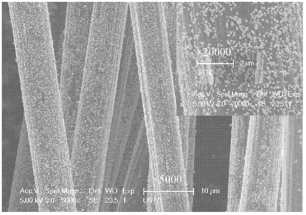 Method for preparing nano-nickel/carbon fiber (Ni/CF) catalyst from chemical nickel-plating waste liquid