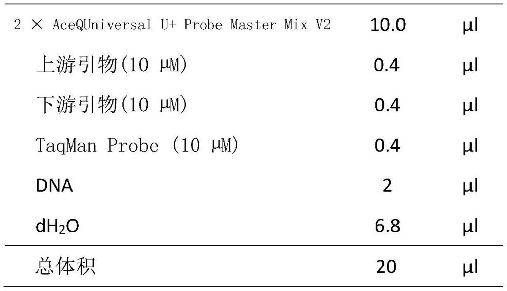 Primer combination, probe, gene chip, kit and system for detecting HLA-B5801 gene