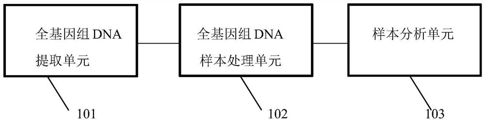 Primer combination, probe, gene chip, kit and system for detecting HLA-B5801 gene