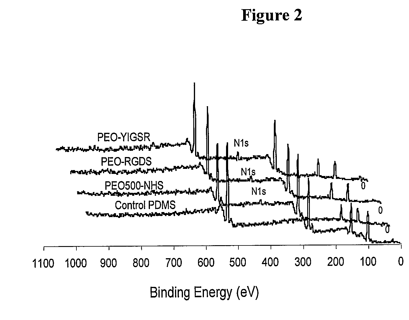 Biological Molecule-Reactive Hydrophilic Silicone Surface