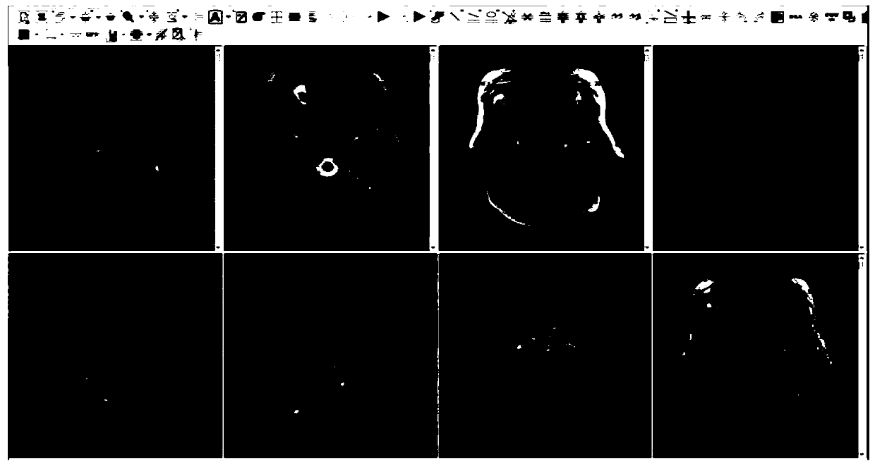 Medical image data utilizing and sharing platform