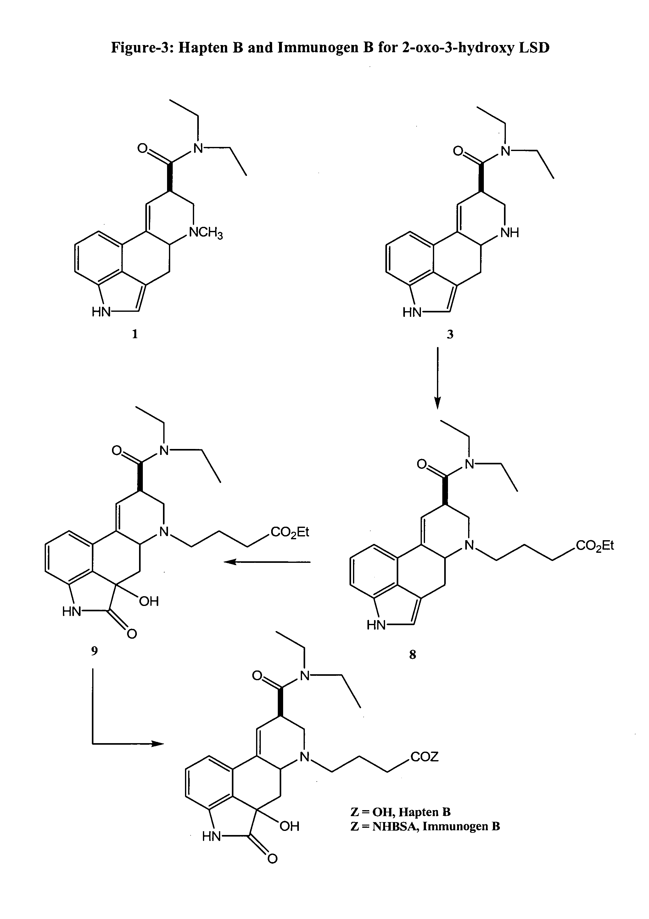 Haptens, immunogens, antibodies and conjugates to 2-oxo-3-hydroxy-LSD