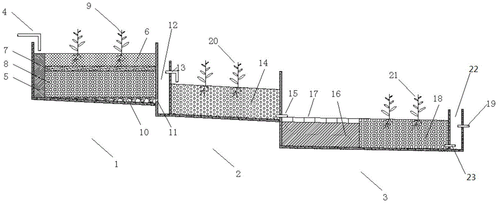 A constructed wetland-ecological ditch system for treating scattered pig-raising wastewater