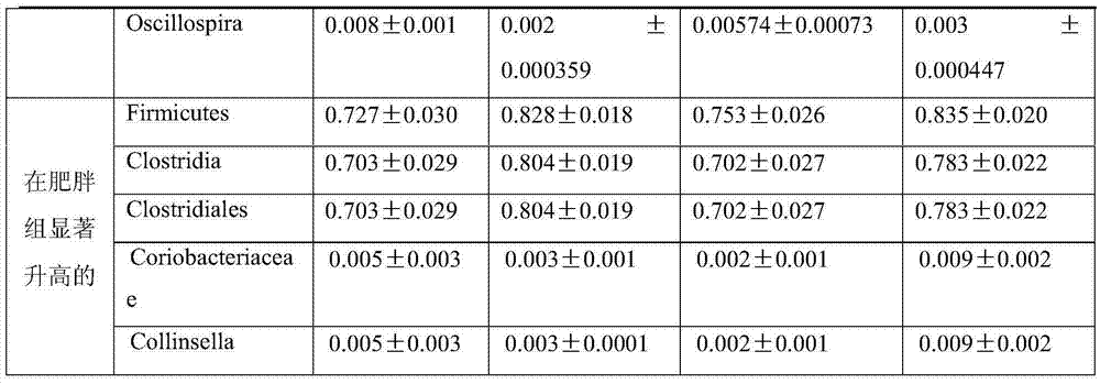 Kit for predicting adolescent obesity in childhood and application thereof