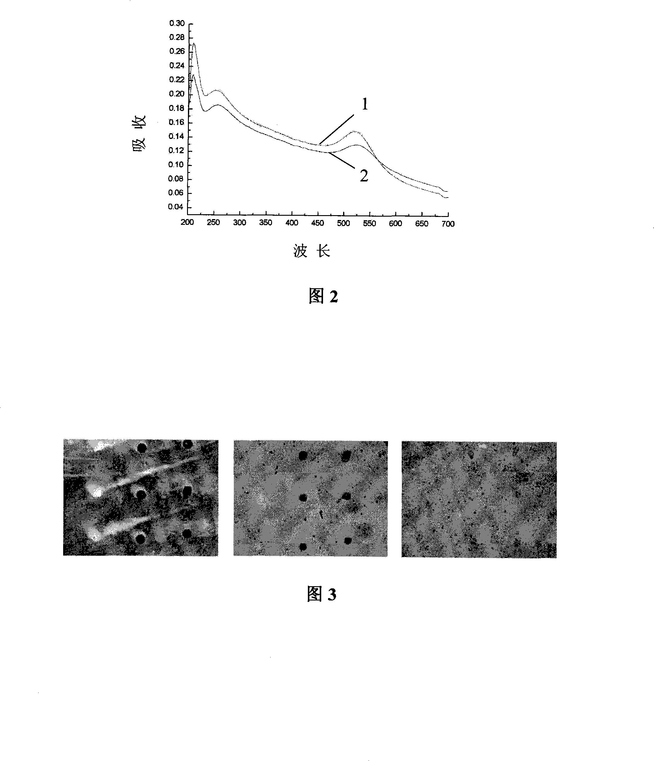 DNA detection method based on gene chip with nanometer gold detecting probe