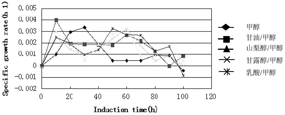 Human-derived muramidase protein fermentation method