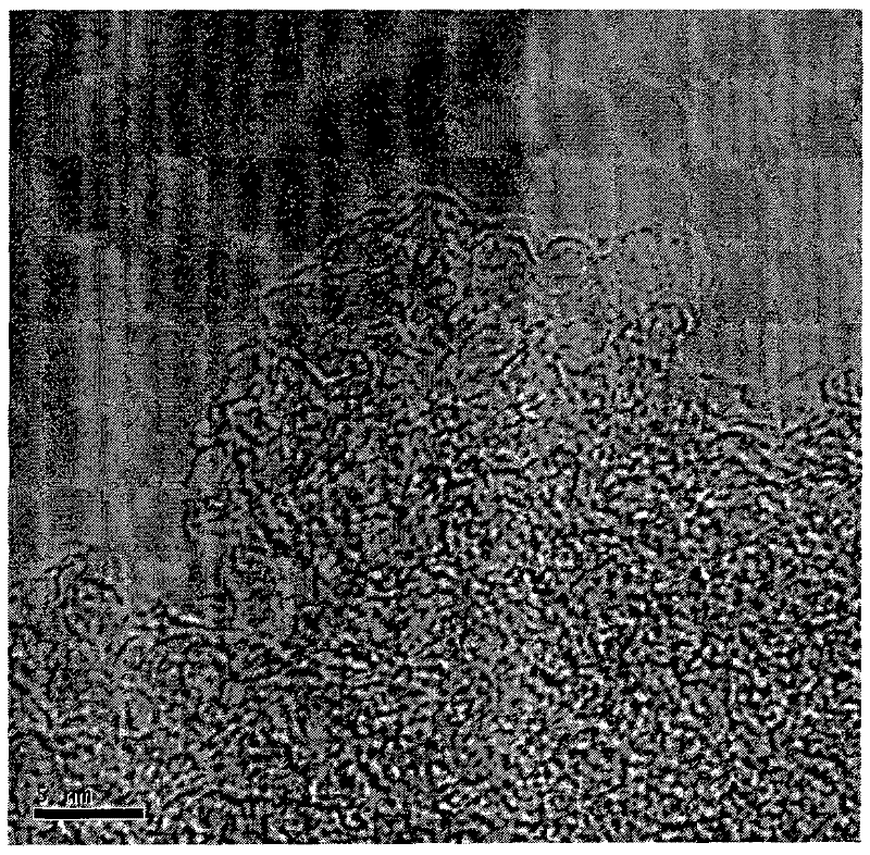 Active carbon for preparing carbon electrode of super capacitor and preparation method thereof