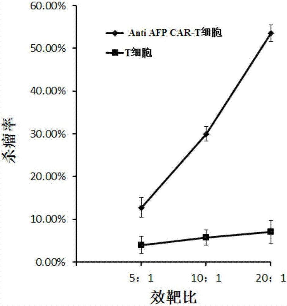 Anti AFP (alpha-fetoprotein) CAR-T (chimeric antigen receptor T) cell, preparation method thereof and application of cell