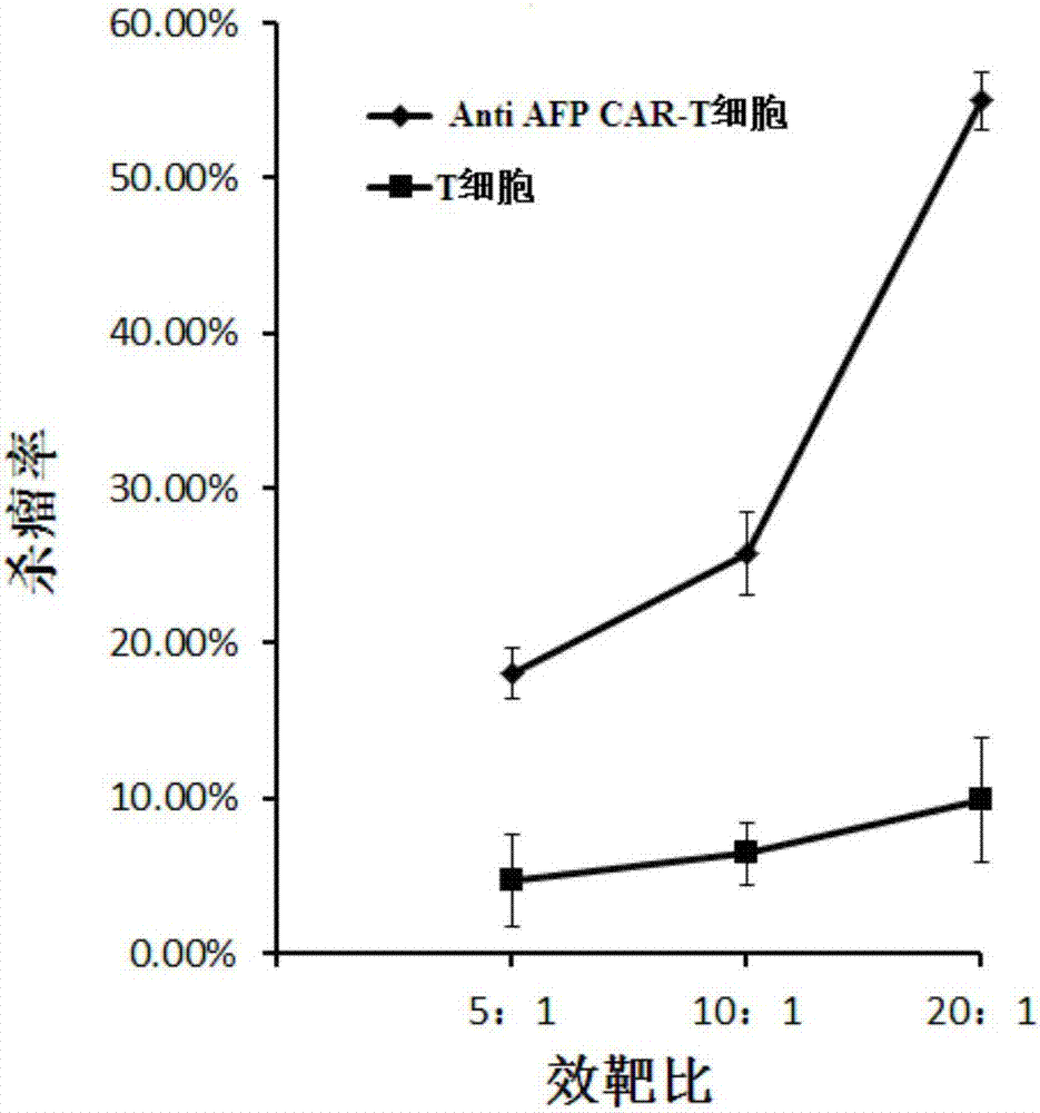 Anti AFP (alpha-fetoprotein) CAR-T (chimeric antigen receptor T) cell, preparation method thereof and application of cell