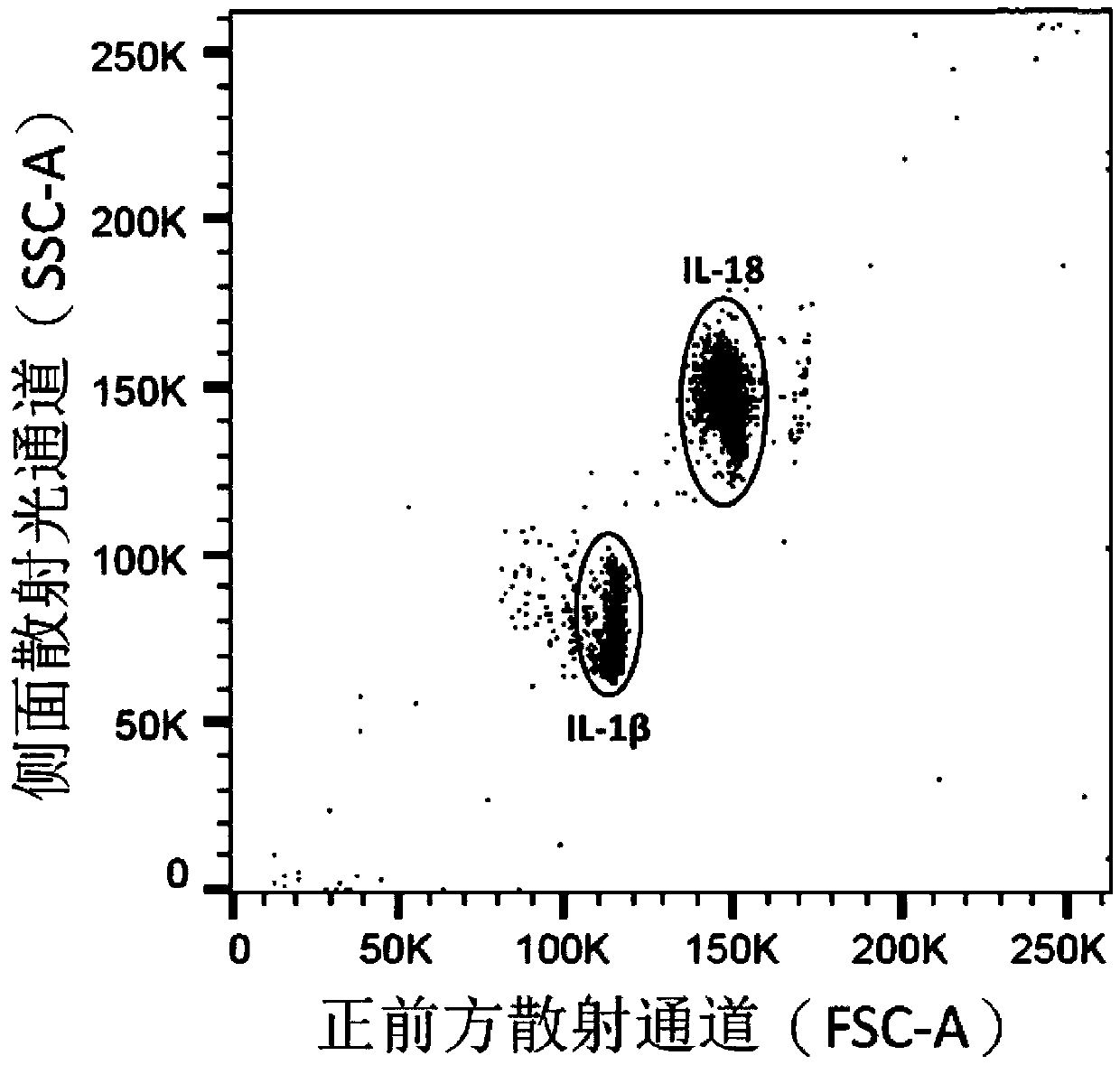 Periodontal disease detection kit and use method