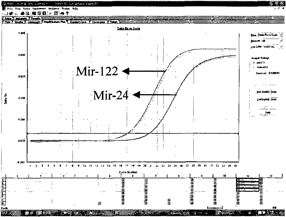 Detection method of single-stranded micro ribonucleic acid